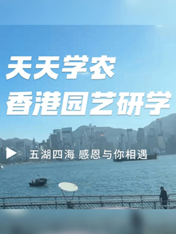 与香港园艺学会联合举办香港园艺研学，专业园境师带队讲解。