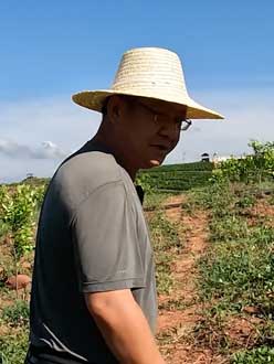 农业人叶涛，50多岁通讯人跨界搞农业，他要用1000万打造一个梦。